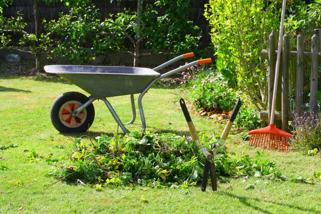 Jardin ensoleillé : brouette, sécateur, râteau près d'un tas de déchets verts sur la pelouse tondue.